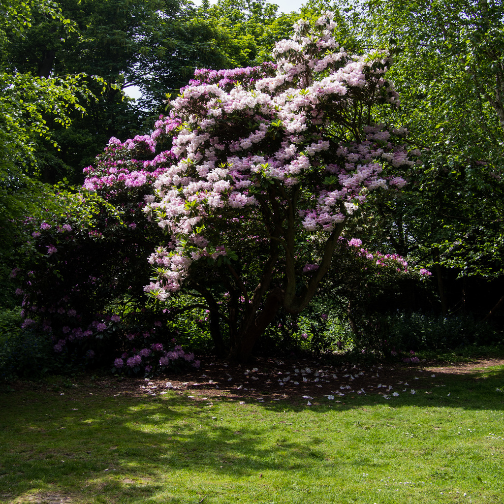 Sheringham Park