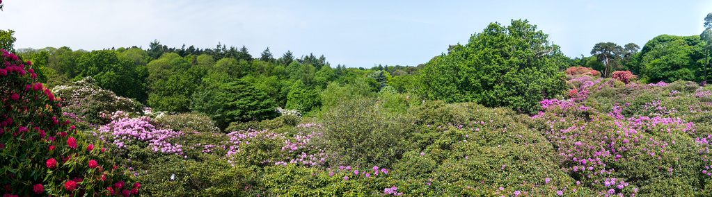 Sheringham Park
