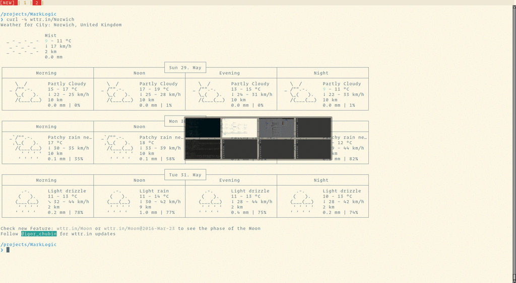 New layout