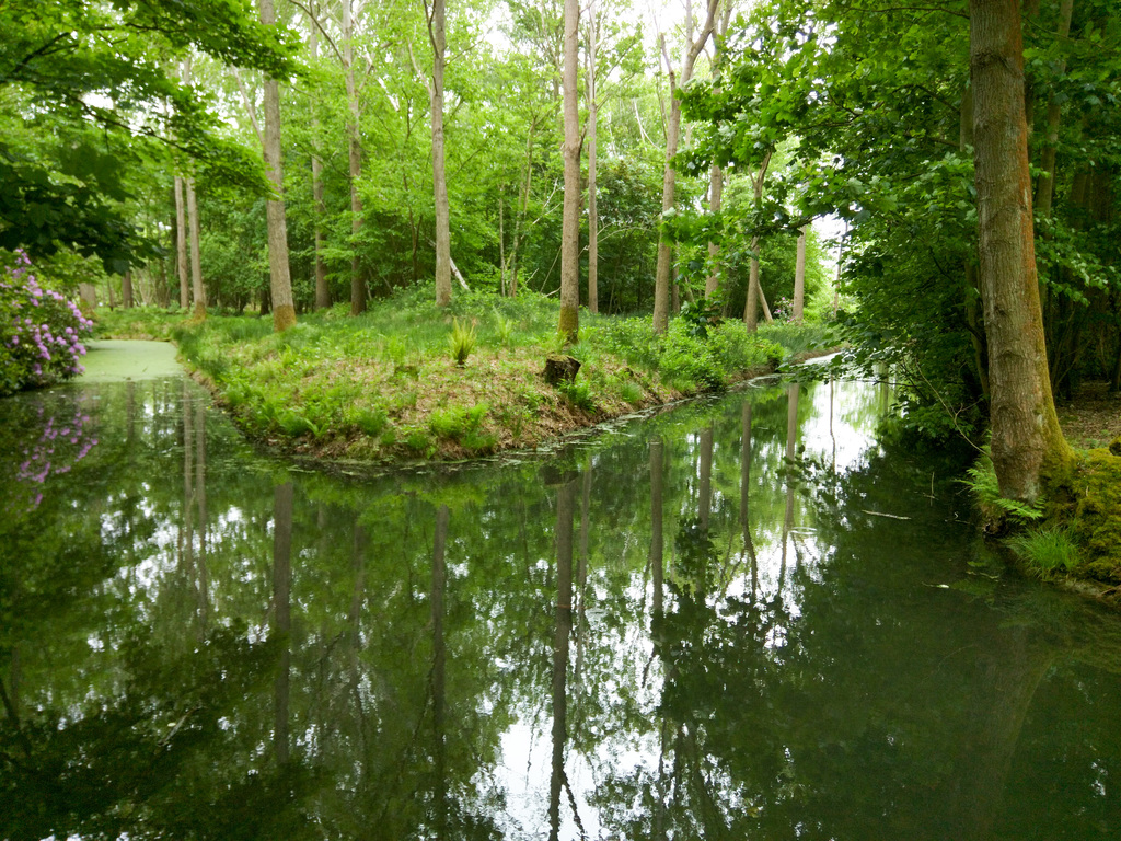 Dilham Islands