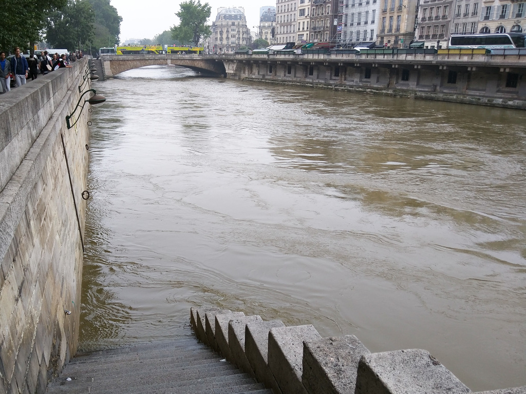 The Seine
