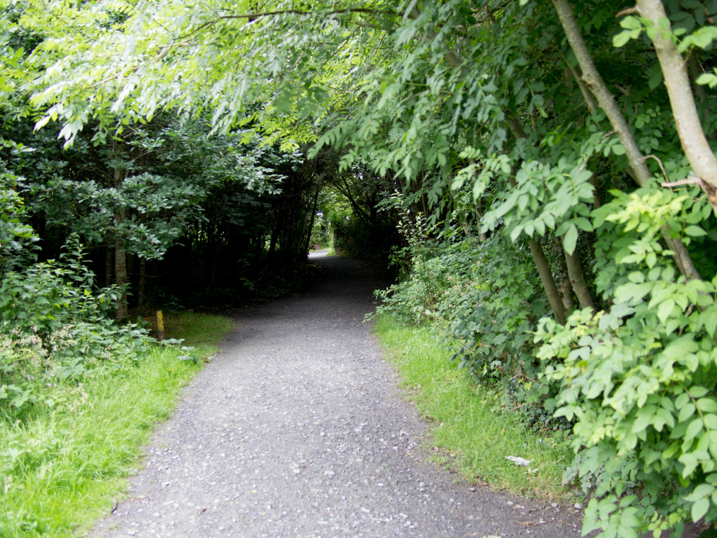 Path