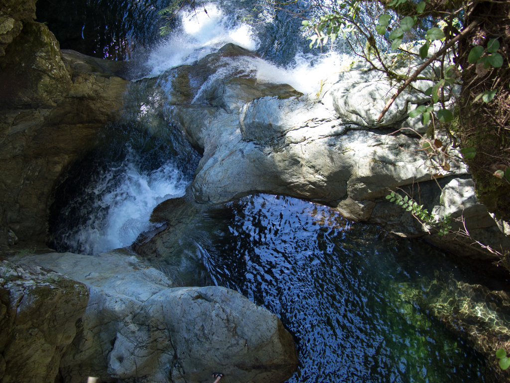 Lynn Canyon