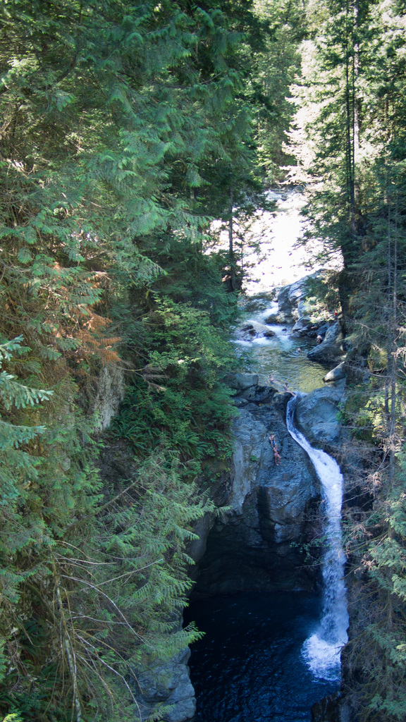 Lynn Canyon