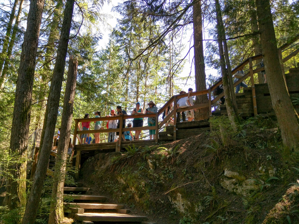 Lynn Canyon