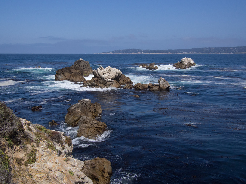 Point Lobos State National Reserve