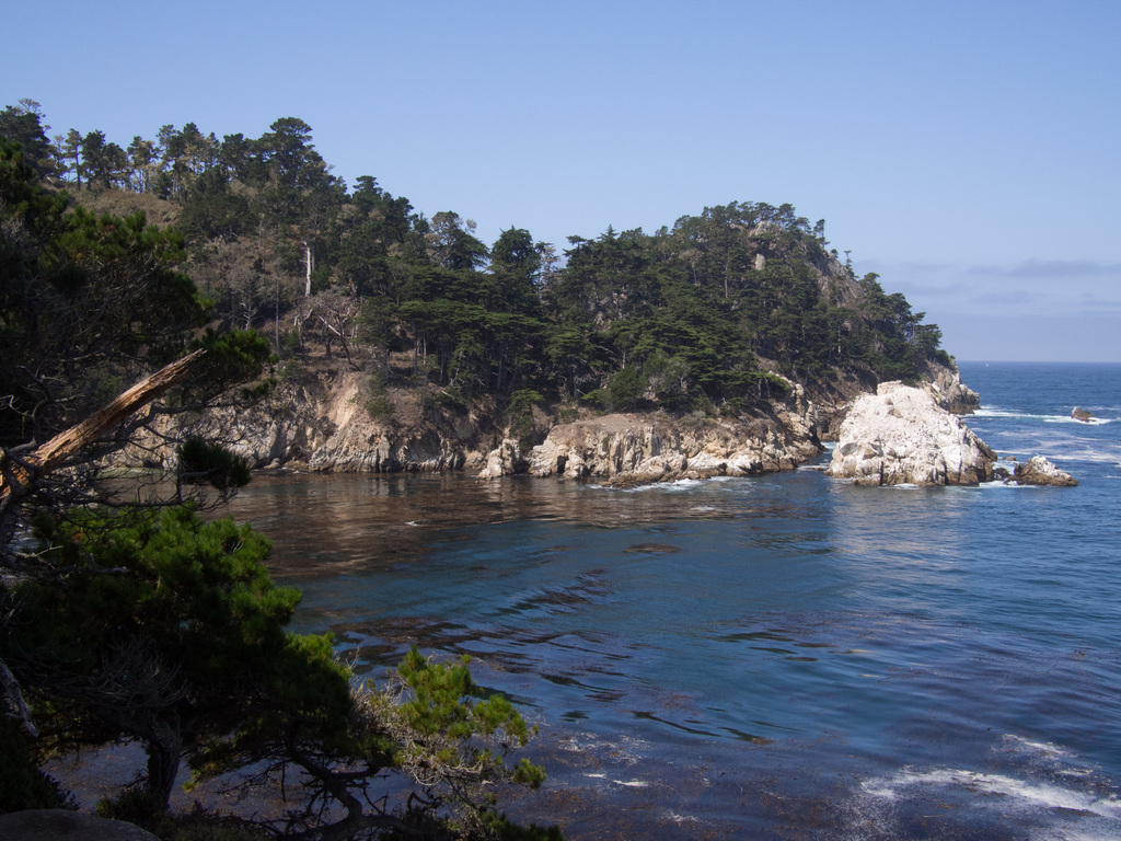 Point Lobos State National Reserve