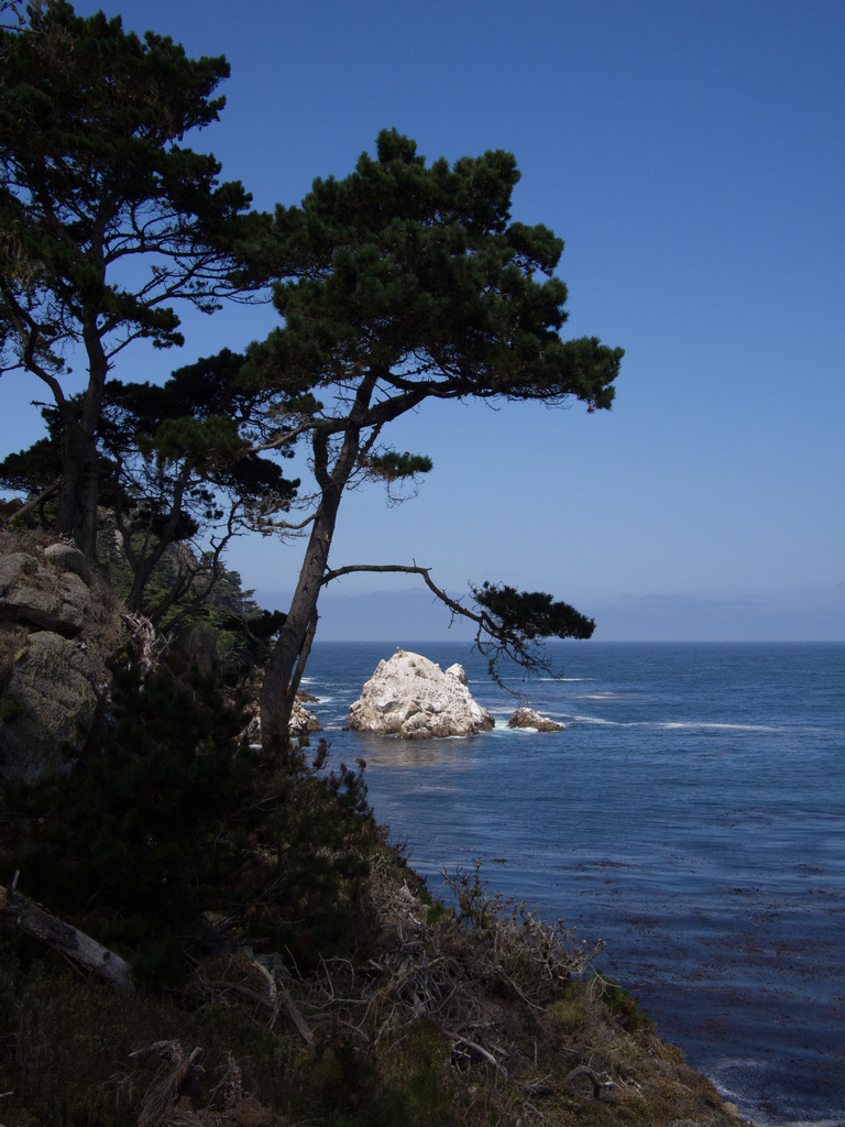 Point Lobos State National Reserve