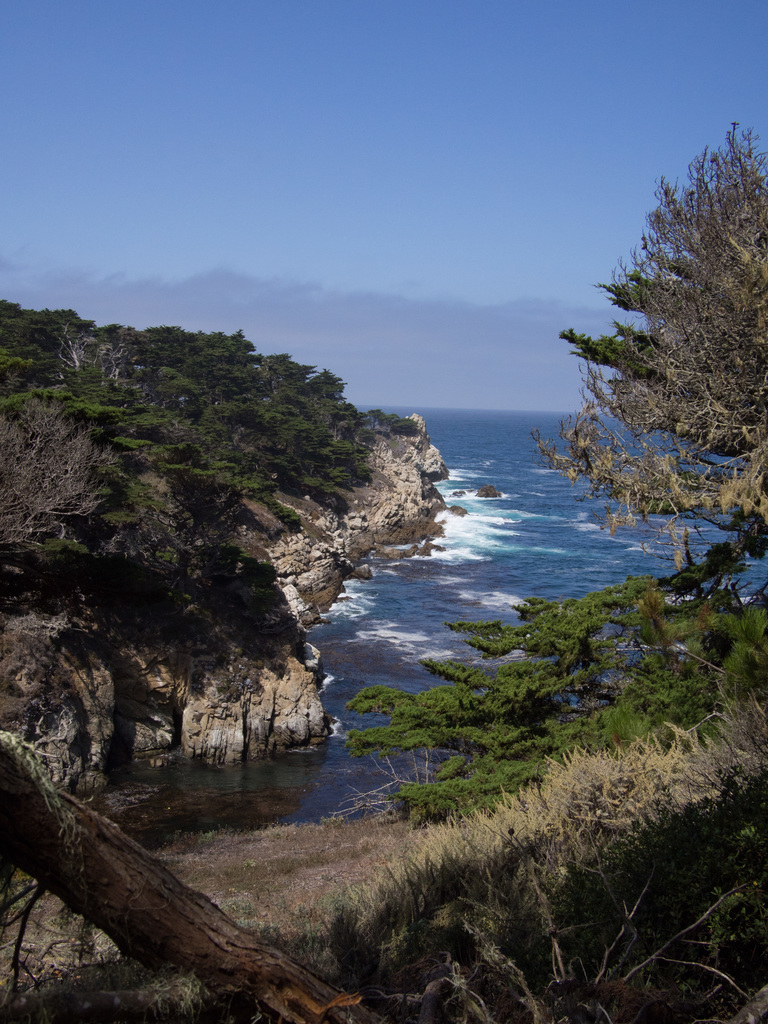 Point Lobos State National Reserve