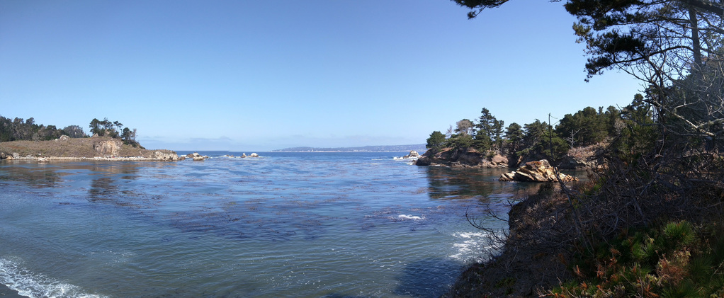 Point Lobos State National Reserve