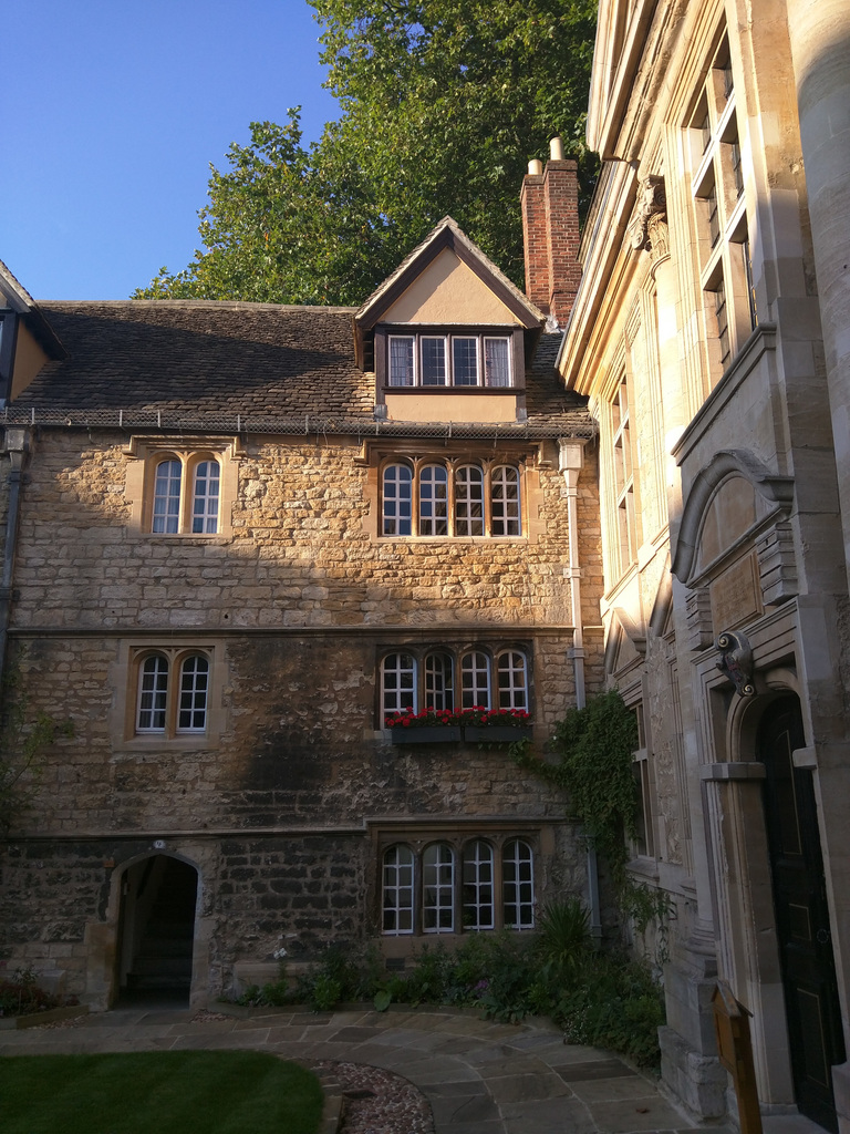 Teddy Hall