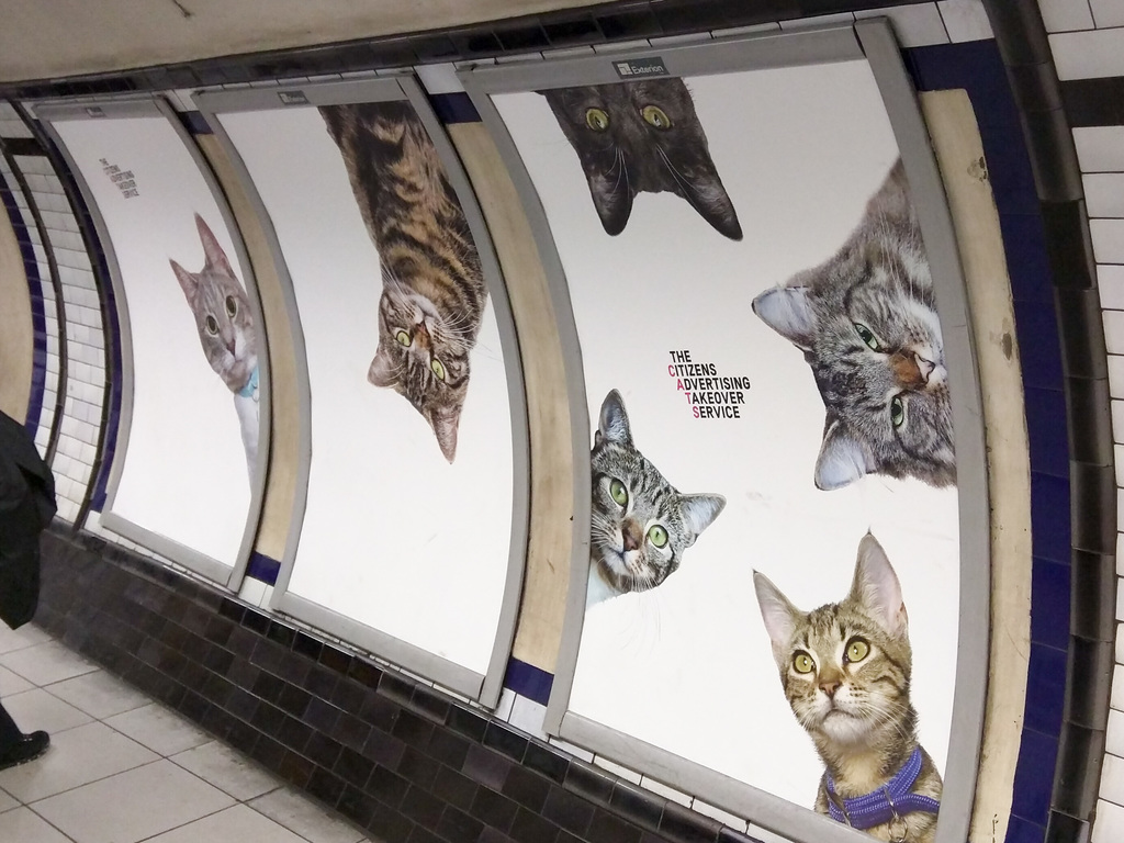 Citizen's Advertising Takeover Service