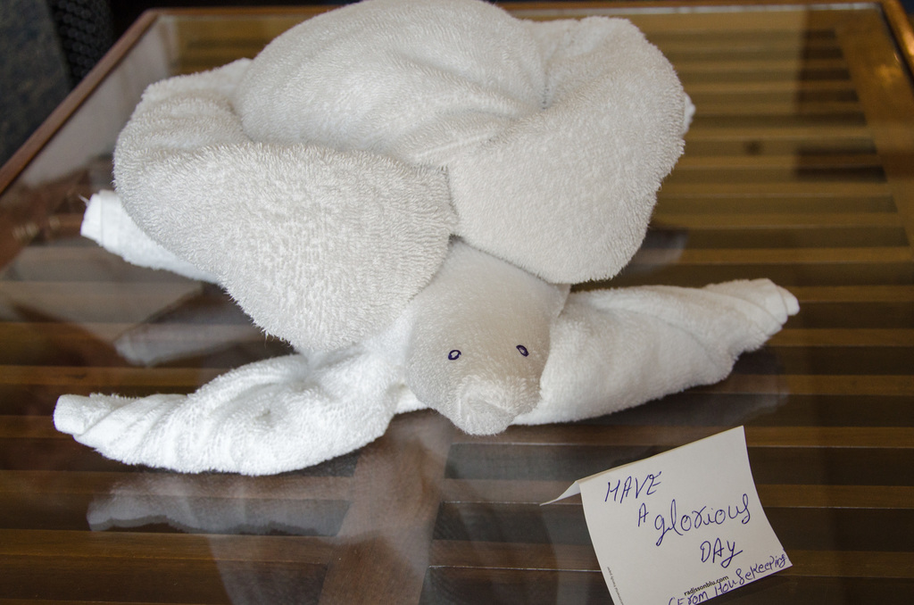 Towel turtle!