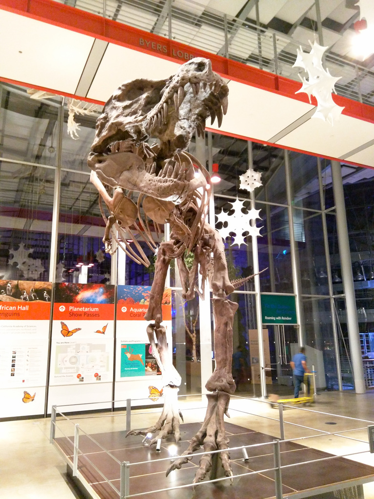 California Academy of Science California Academy of Science