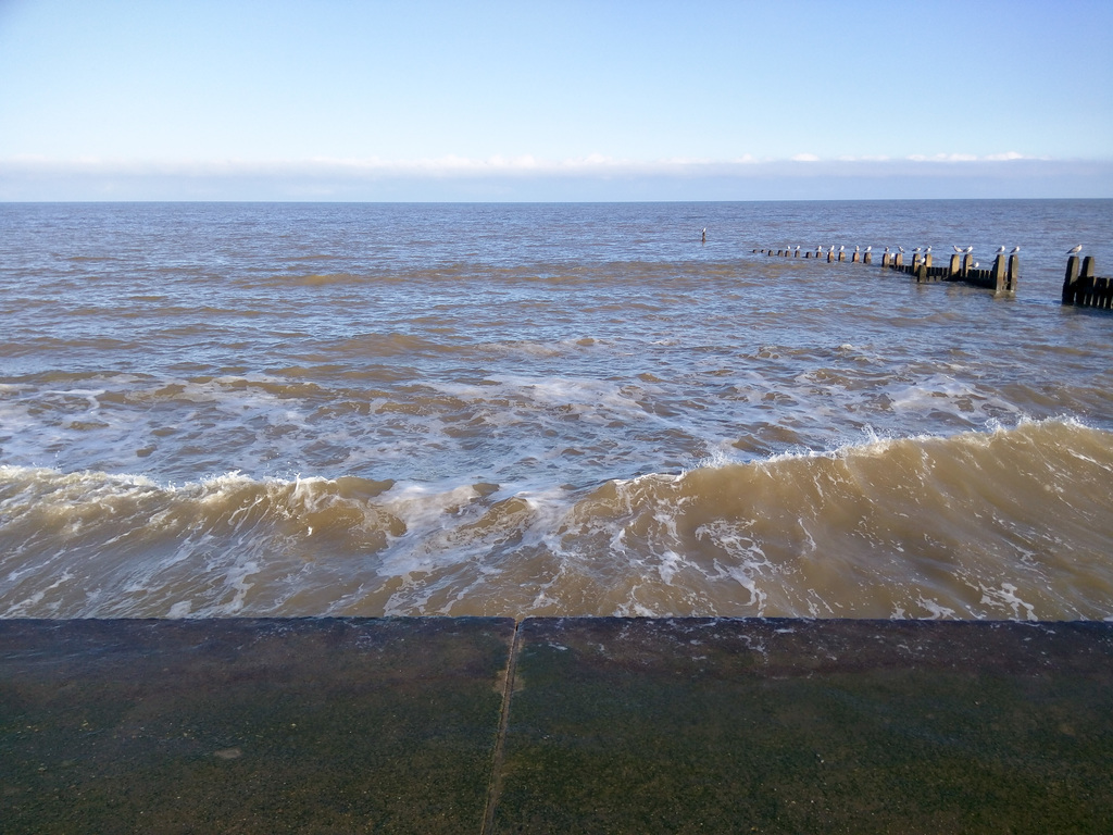 Norfolk