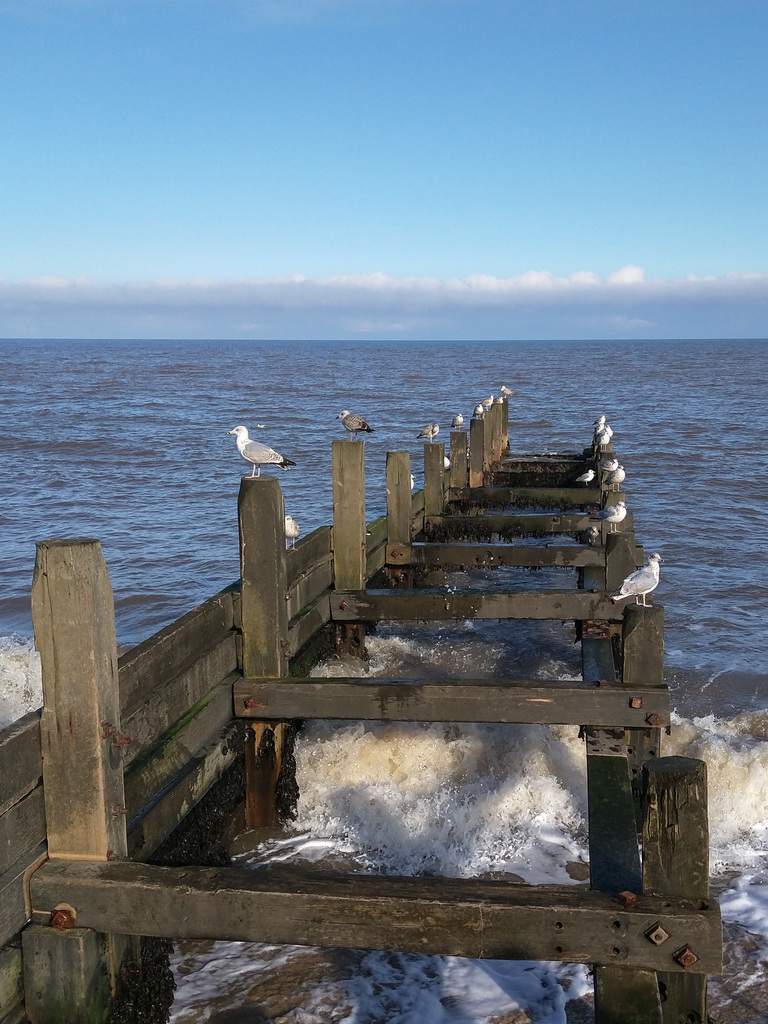 Norfolk