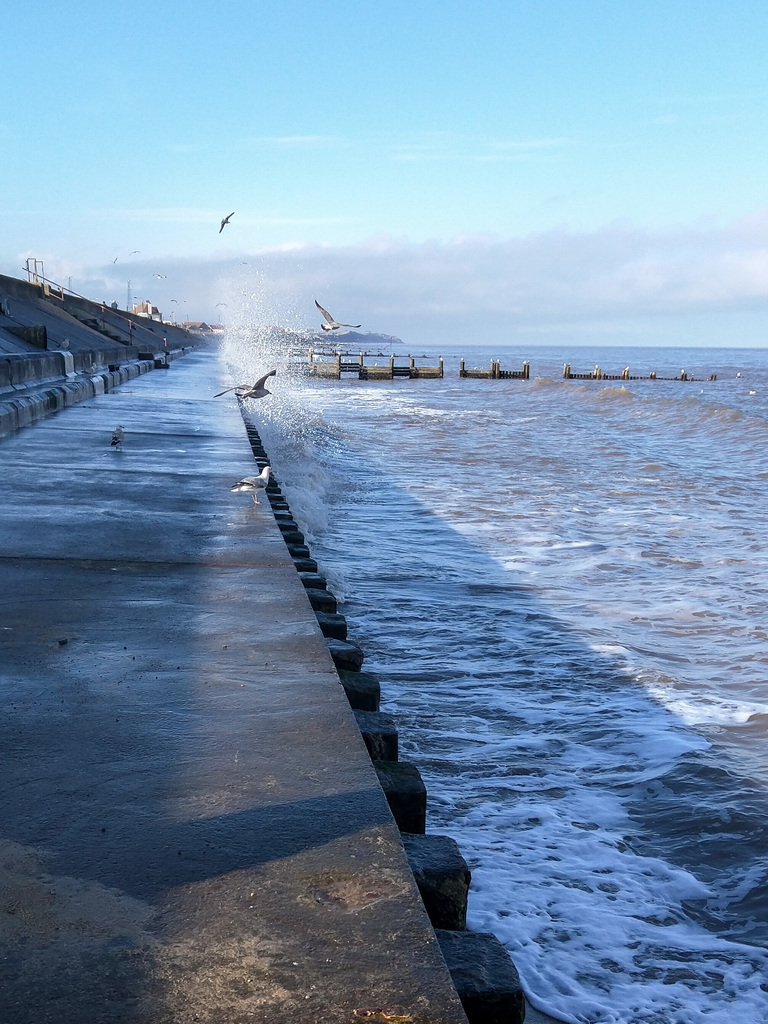Norfolk