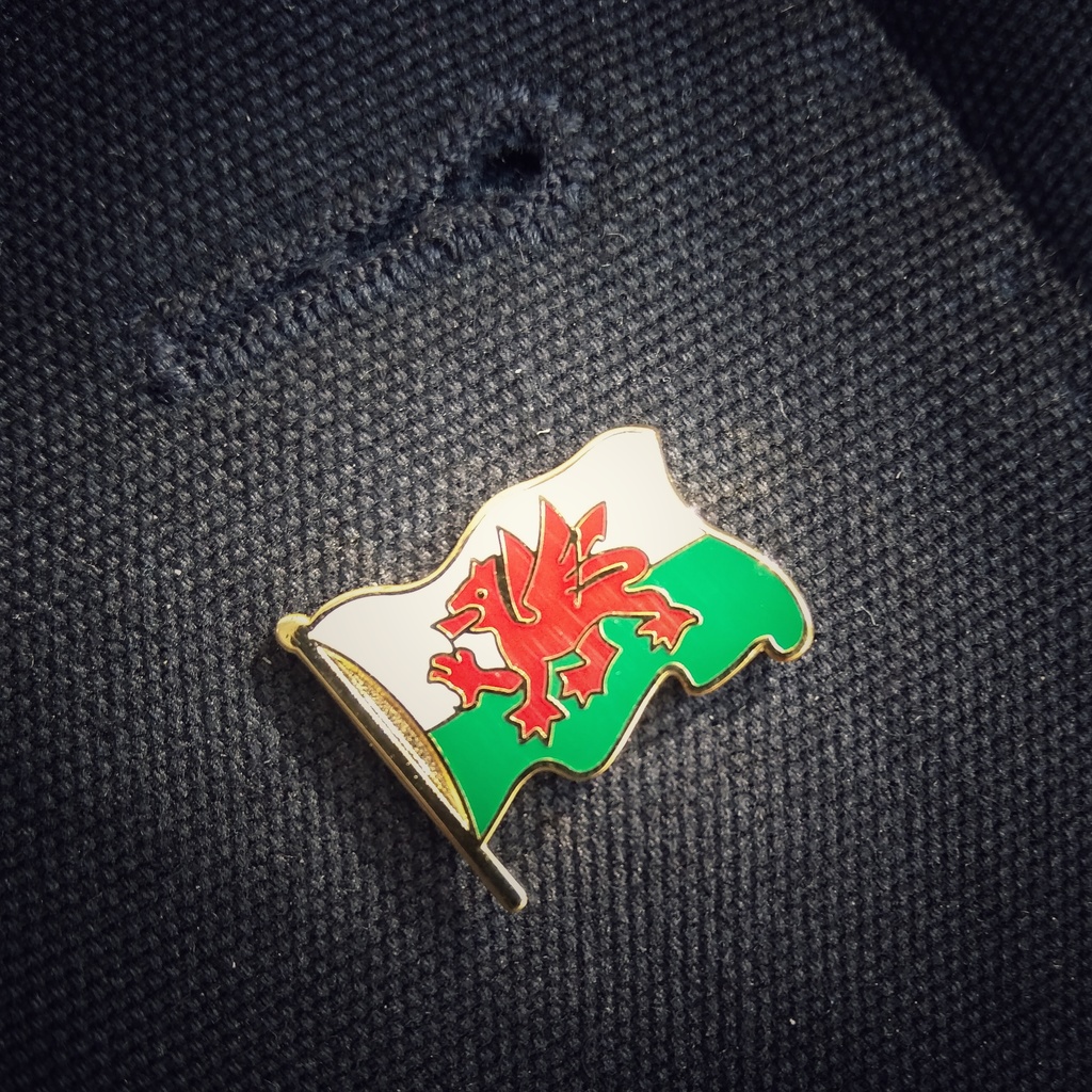 Lapel pin