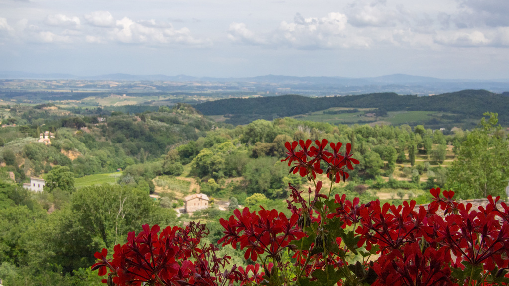 Montepulciano