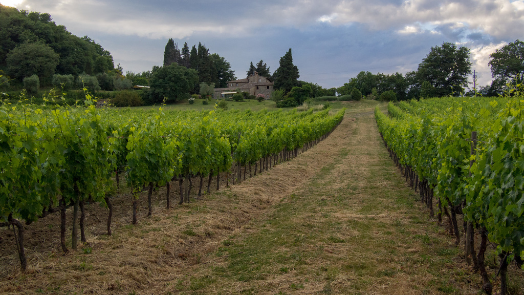 Castelrotto