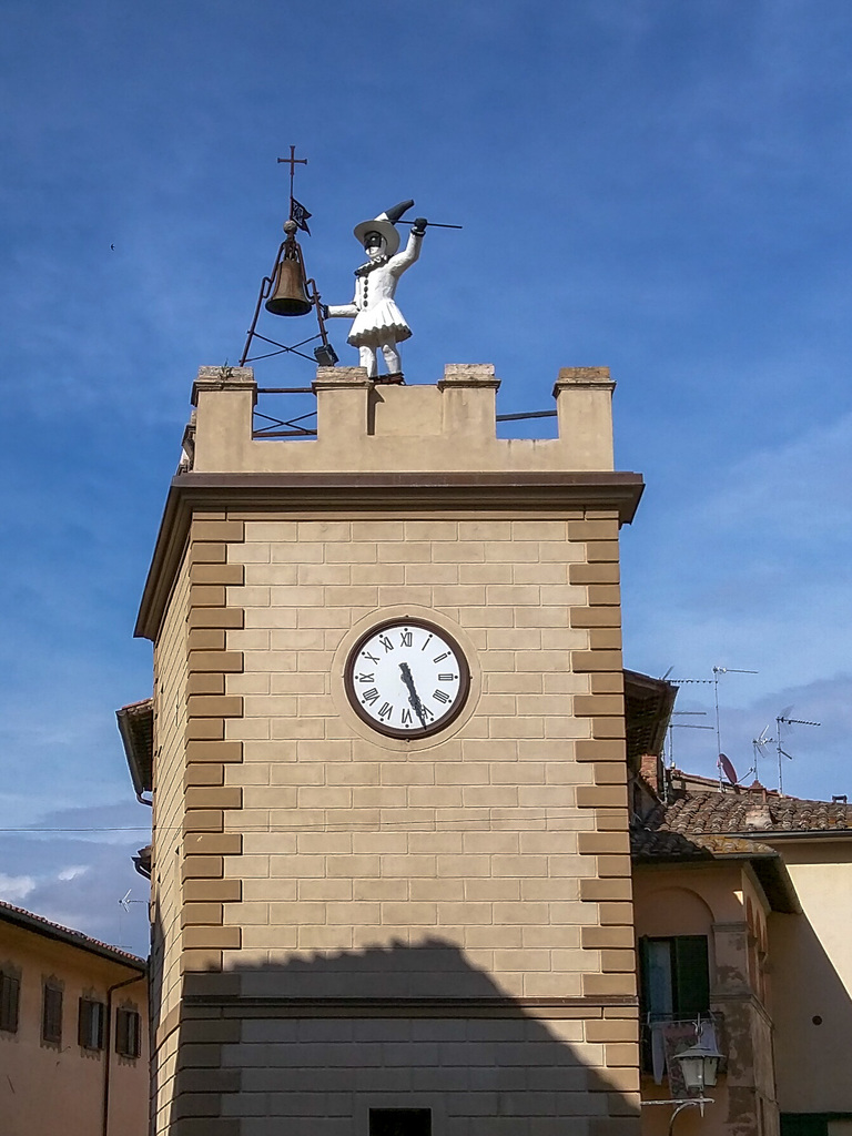 Montepulciano harlequin