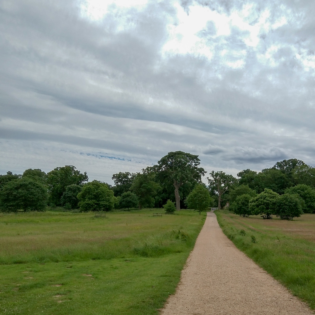 Paths