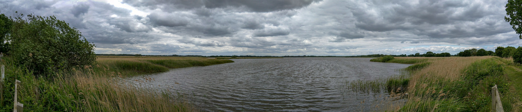 Pond