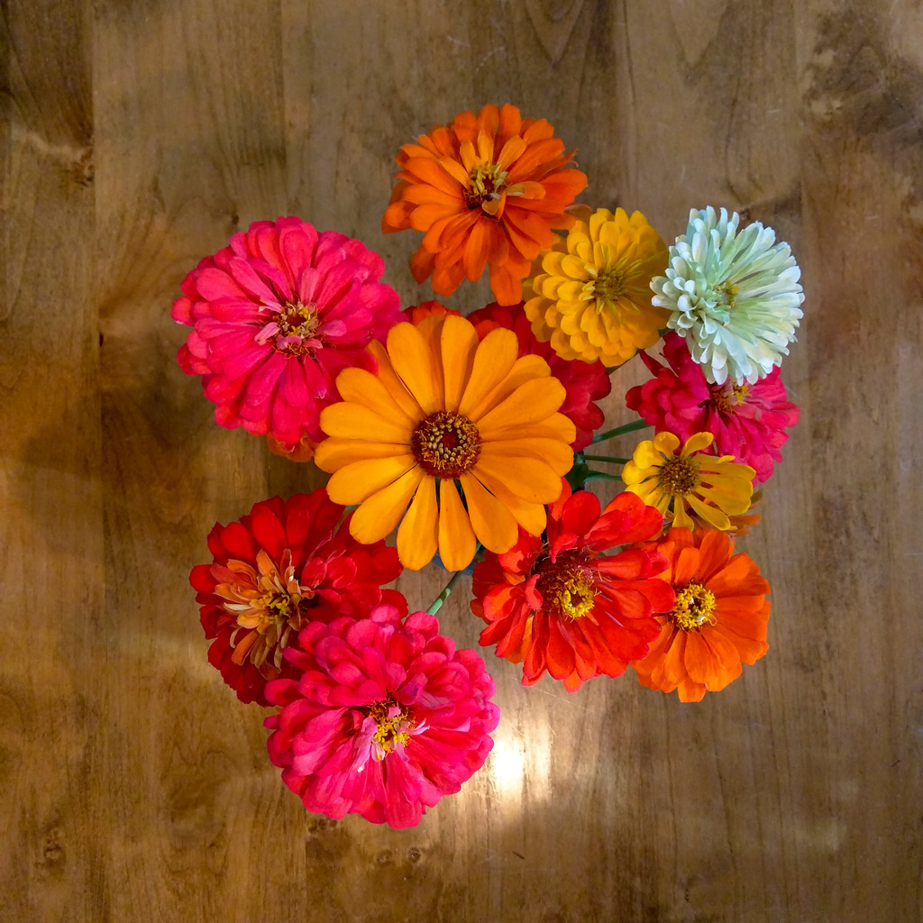 Flowers