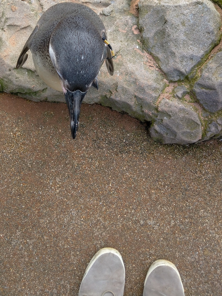 And they say my feet are big! And they say my feet are big!