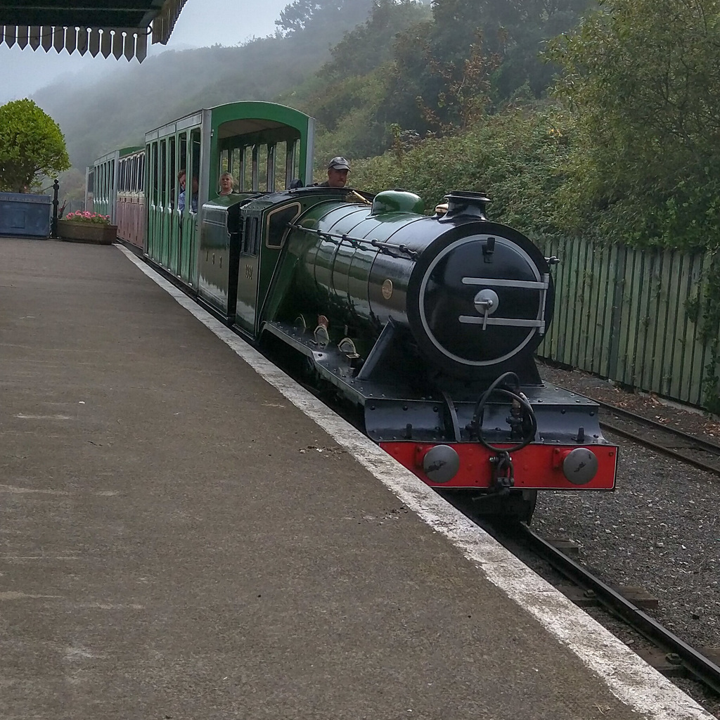 Tiny train