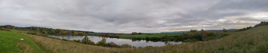 Pond walk