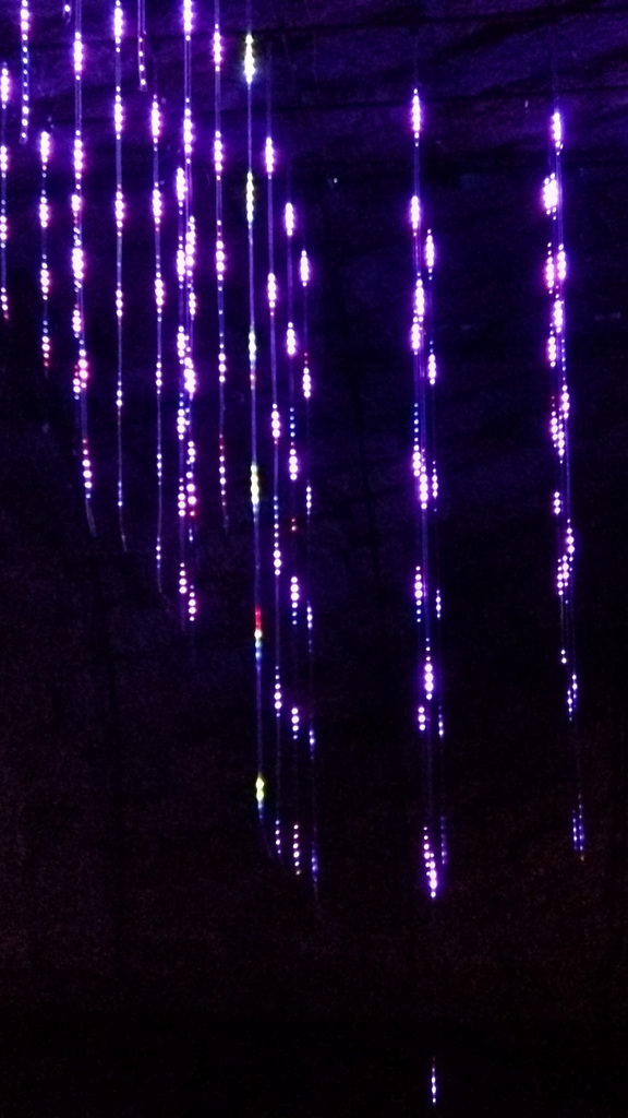 Waller Creek Show