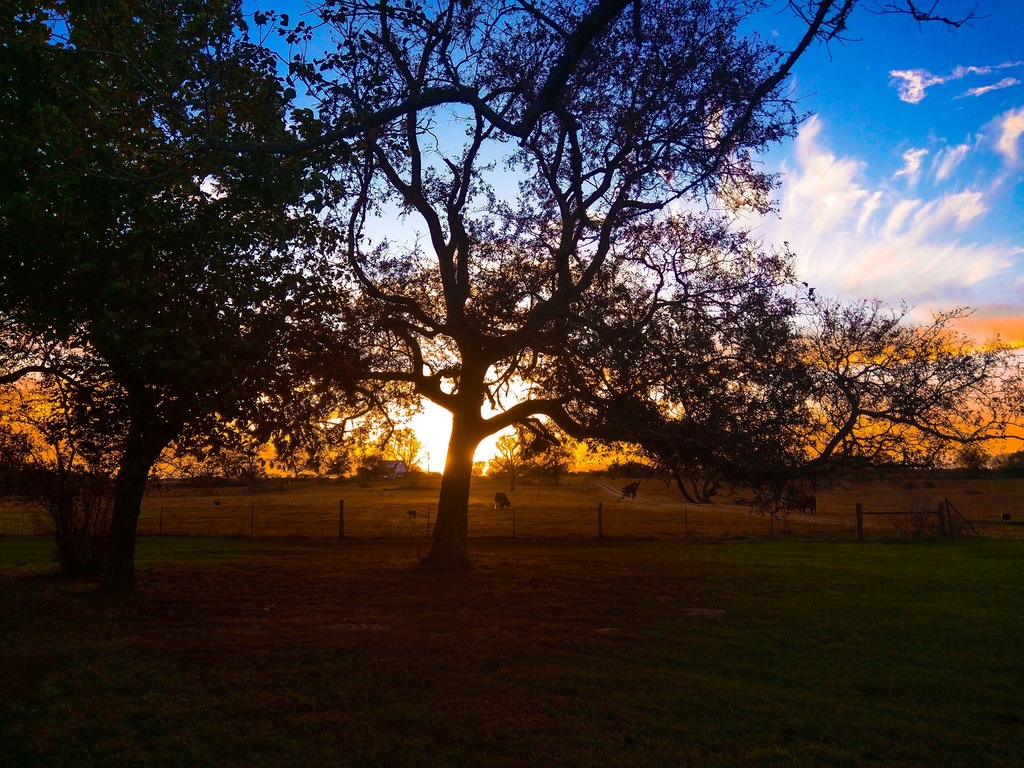 Sunset in Cuero