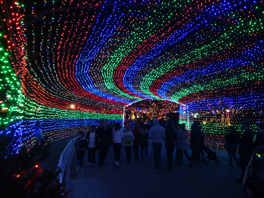 Trail of Lights 2017
