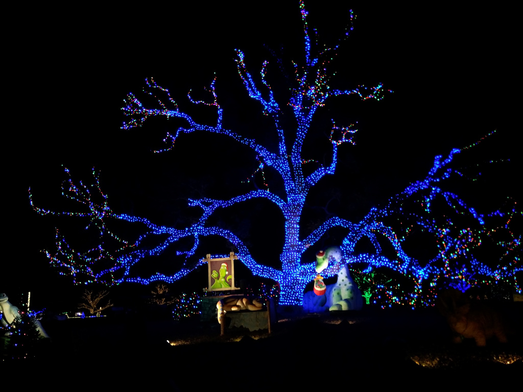 Trail of Lights 2017