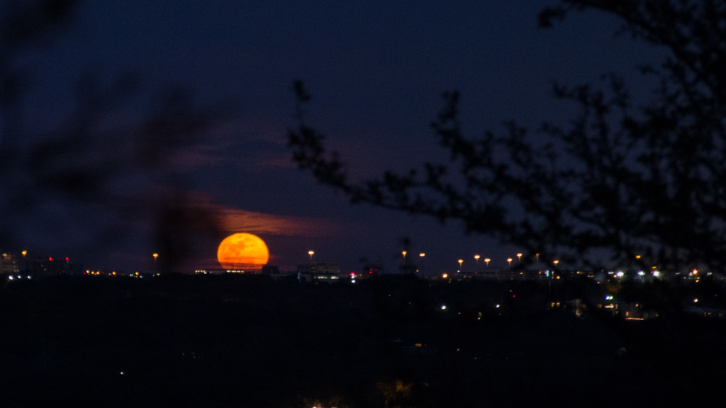 Super blue (formerly blood) moon on the rise