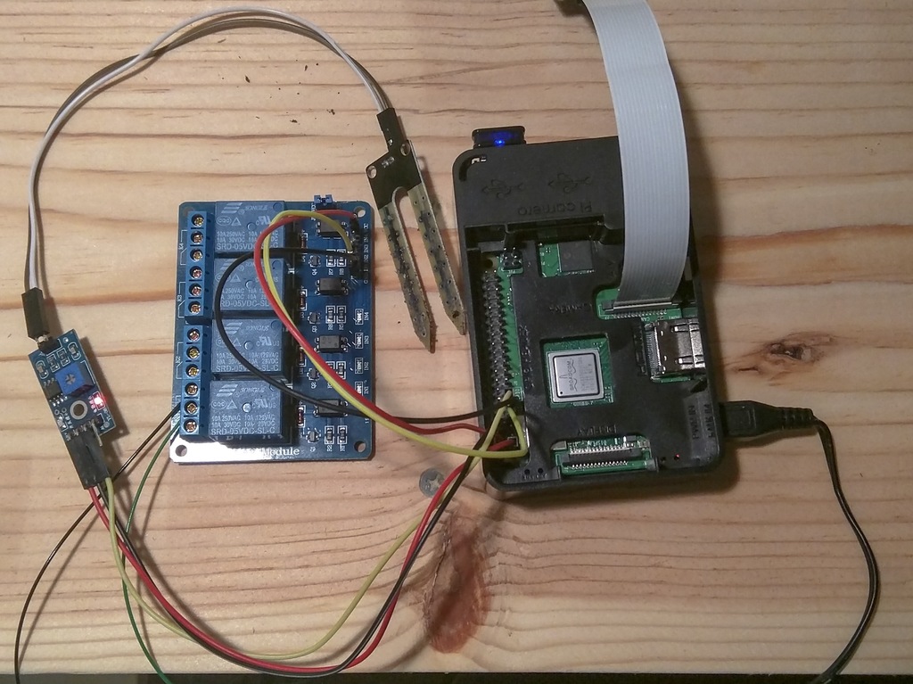 Raspberry Pi Plant Watering
