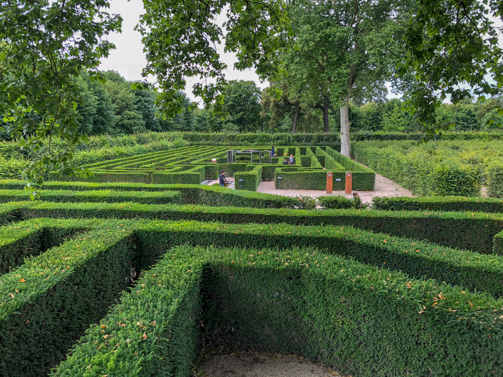 A-maze-ing