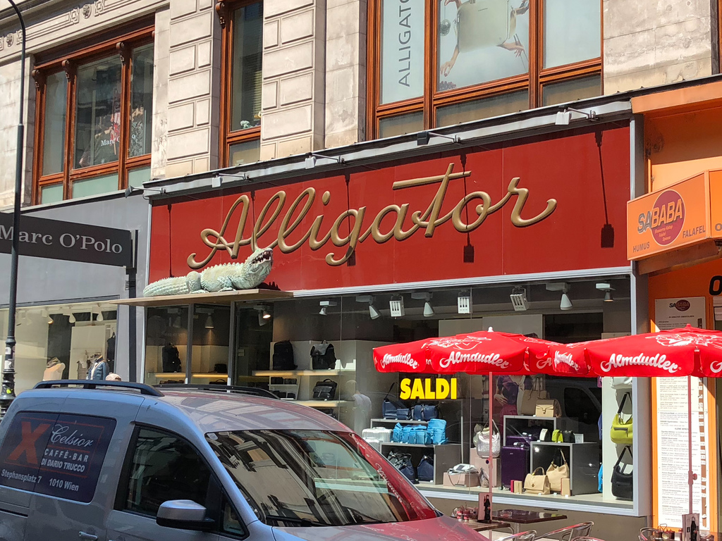 Alligator