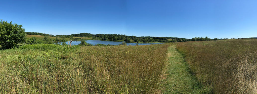 Stroll panorama Stroll panorama
