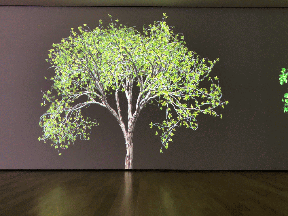 Jennifer Steinkamp: Blind Eye at The Clark