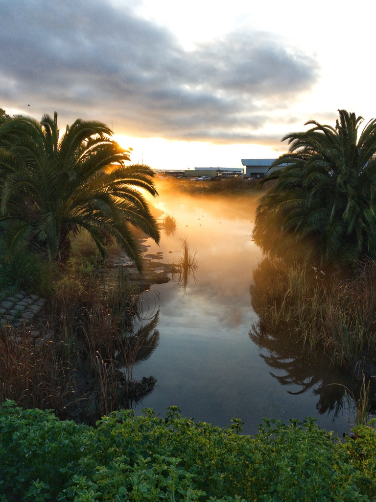 Misty morning