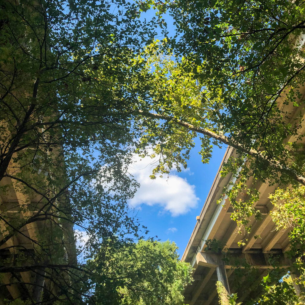 Between the roads