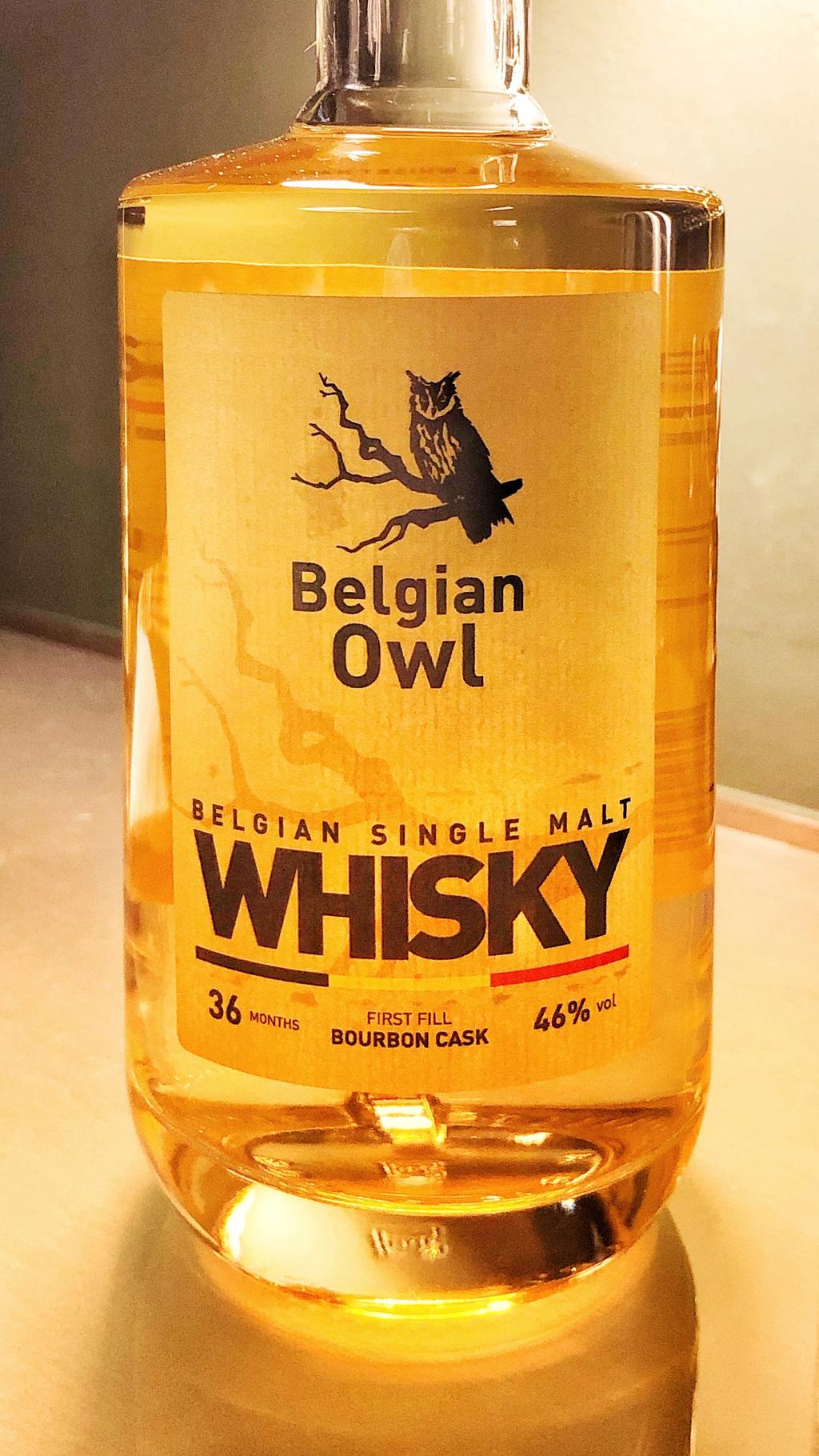 Belgian Owl