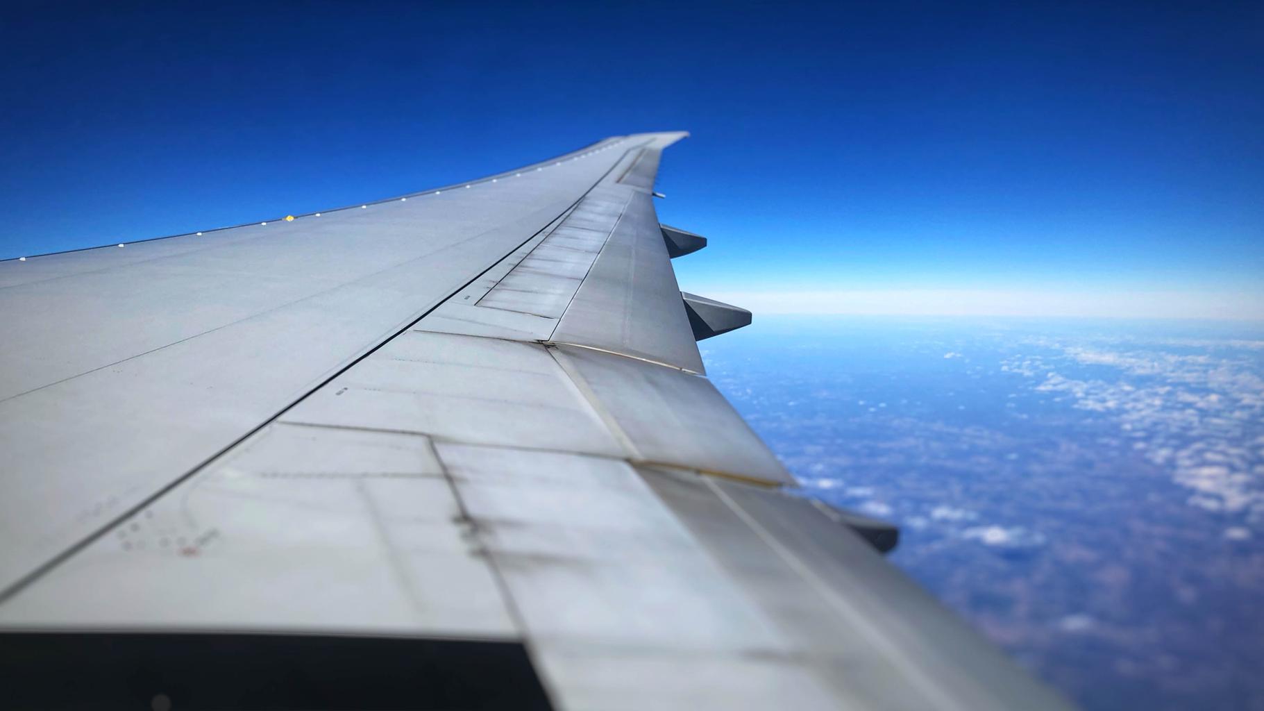 Wing