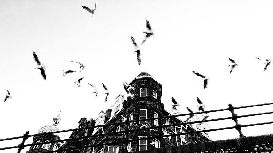 Photo thumbnail