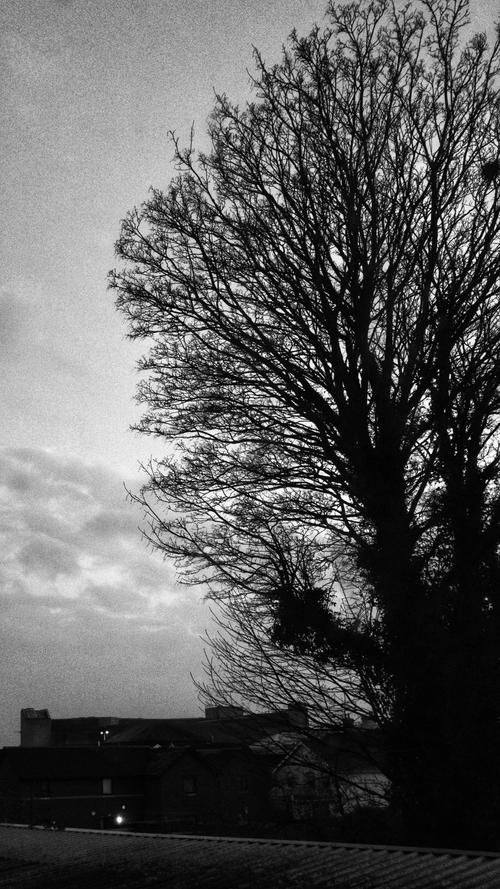 Photo thumbnail