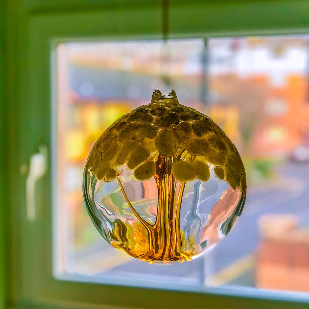 Tree in a bottle