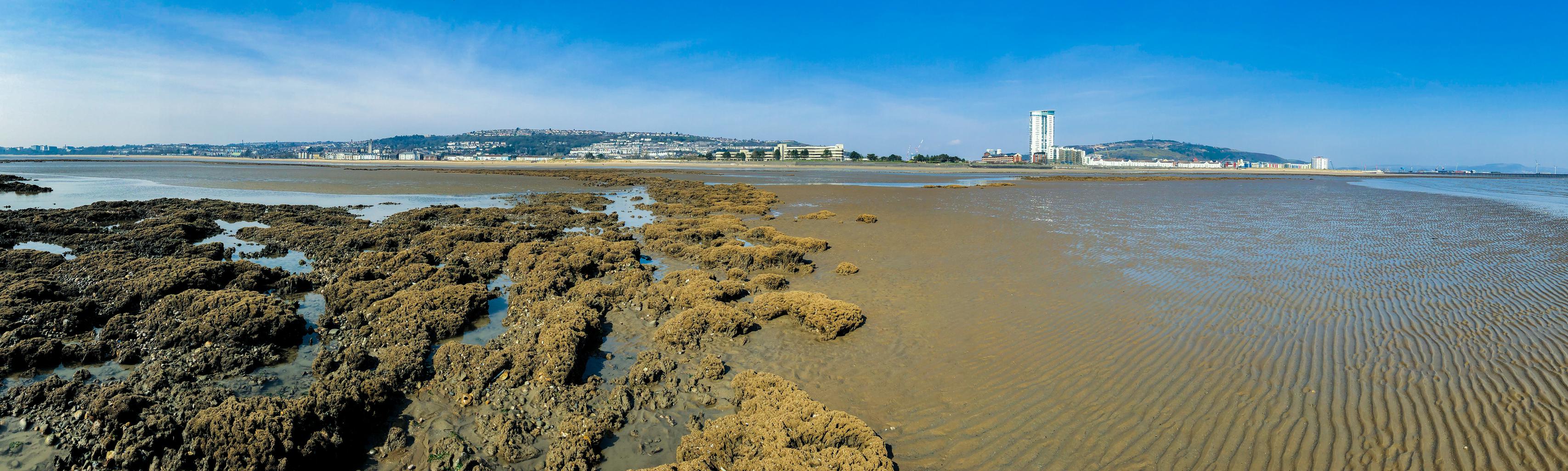 Looking back in Swansea Bay