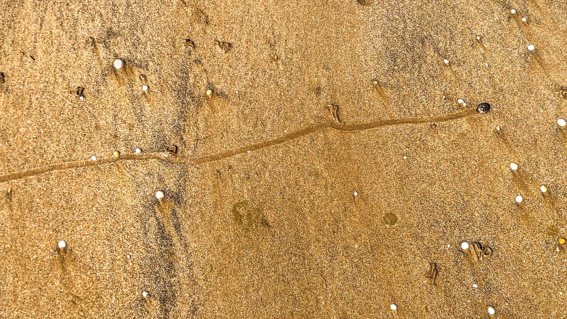 Making tracks